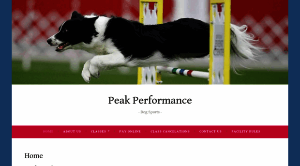peakperformancedogsports.com