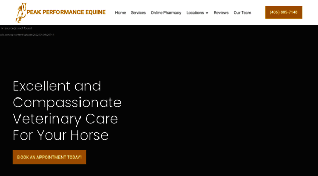 peakperformanceequinepllc.com