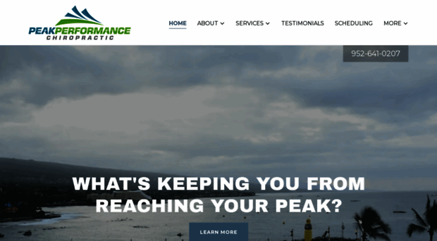 peakperformancemn.com