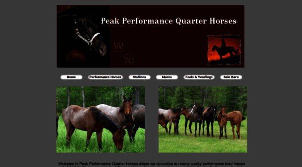 peakperformancequarterhorses.com