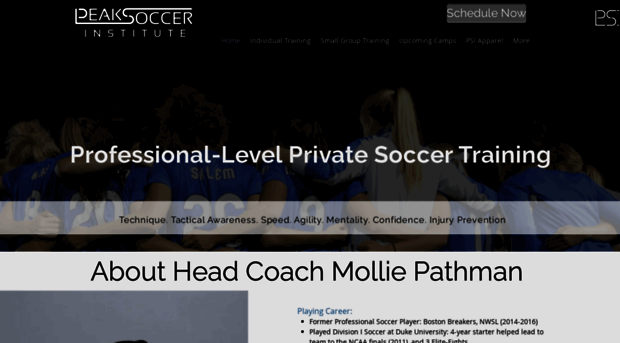 peaksoccerinstitute.com