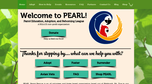 pearlparrots.com