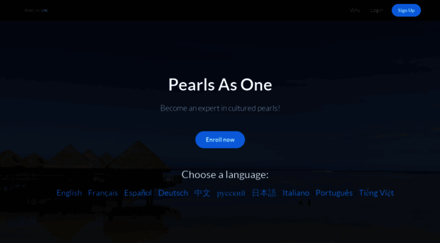 pearlsasone.org