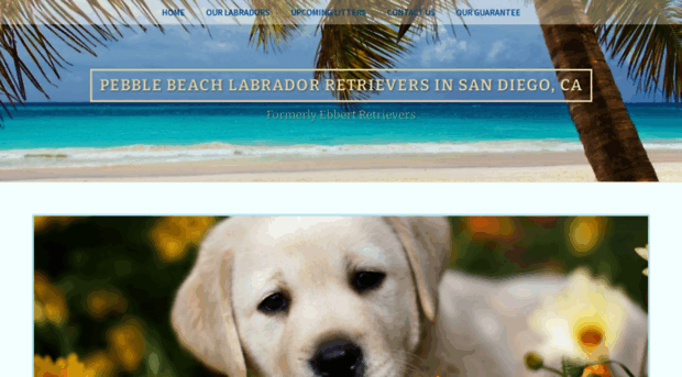 pebblebeachlabradors.com