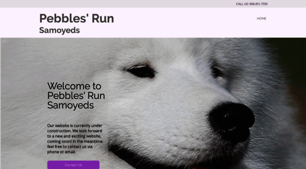 pebblesrun.com