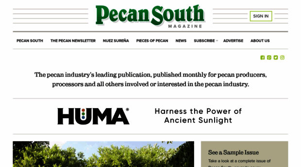 pecansouthmagazine.com