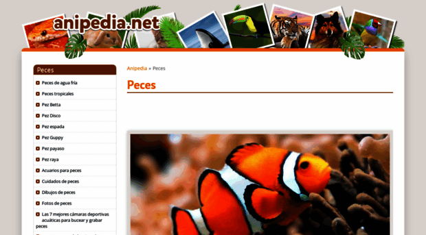 peces.anipedia.net