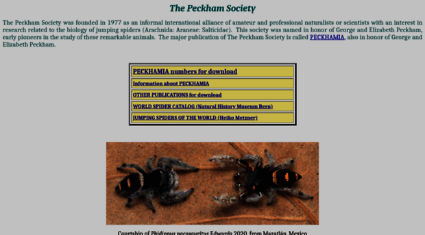peckhamia.com