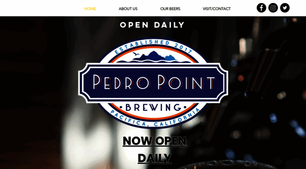 pedropointbrewing.com