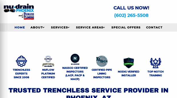 peerlessplumbingrepipes.com