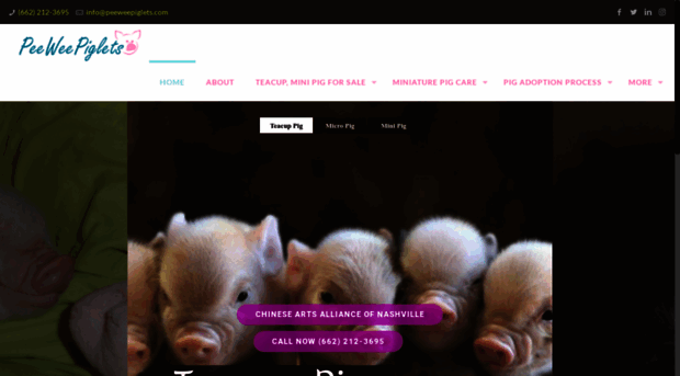 peeweepiglets.com