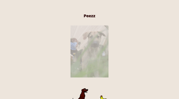 peezz.de