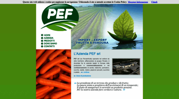 pefsrl.net