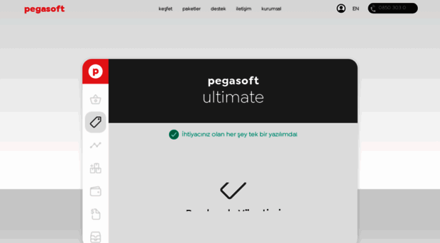 pegasoft.com.tr