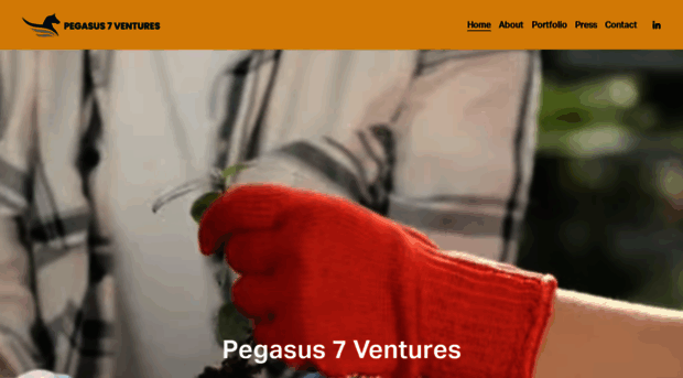 pegasus7ventures.com