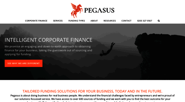 pegasusfunding.co.uk