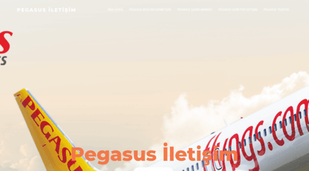 pegasusiletisim.com