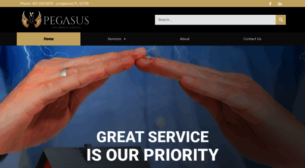 pegasusinsfl.com