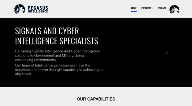 pegasusintelligence.com