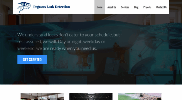 pegasusleakdetection.com