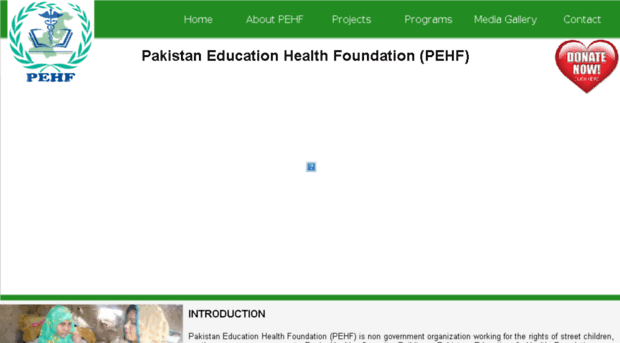 pehfsindh.org