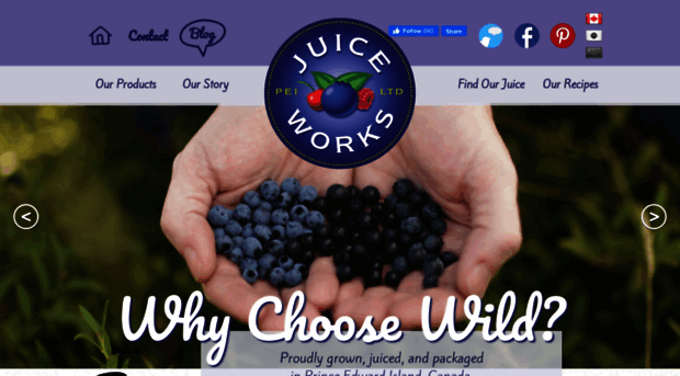 peijuiceworks.ca