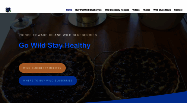 peiwildblueberries.com