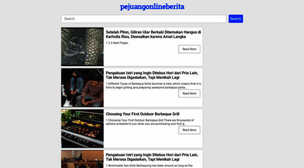 pejuangonlineberita.blogspot.com