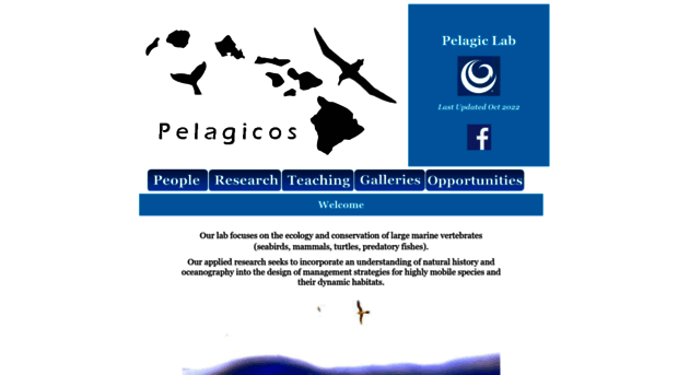 pelagicos.net