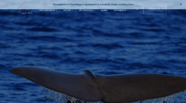 pelagos-sanctuary.org