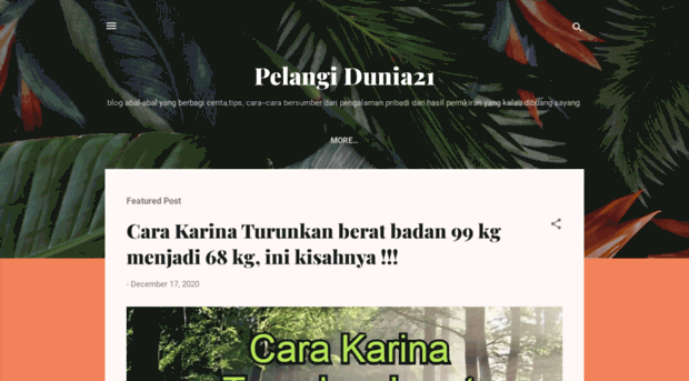 pelangidunia.com