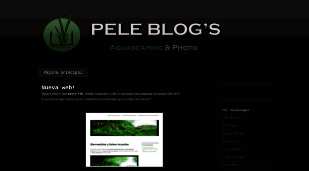 peleblogs.blogspot.com