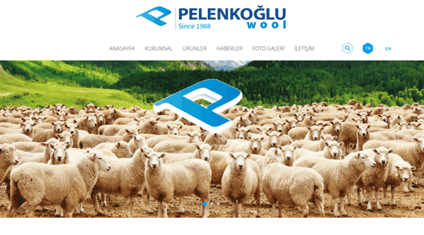 pelenkogluwool.com