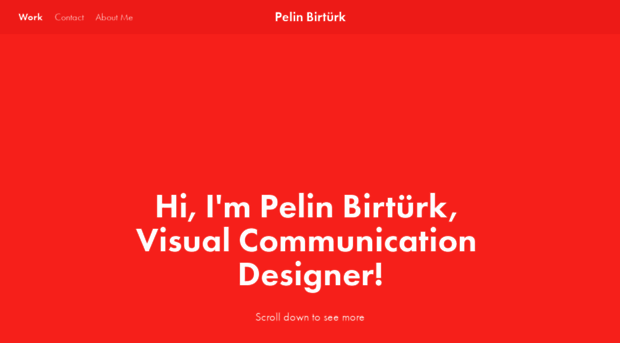 pelinbirturk.myportfolio.com