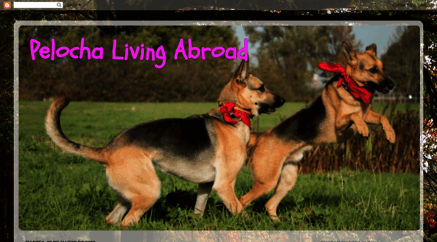 pelochalivingabroad.blogspot.de
