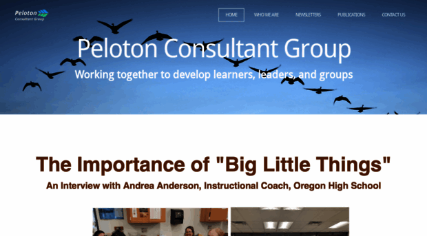 pelotonconsultantgroup.com