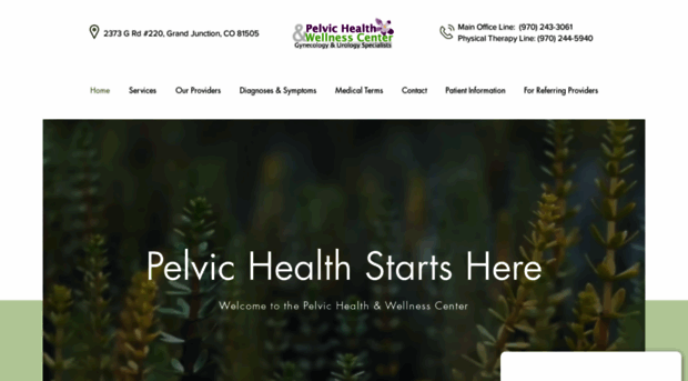 pelvichealthcolorado.com