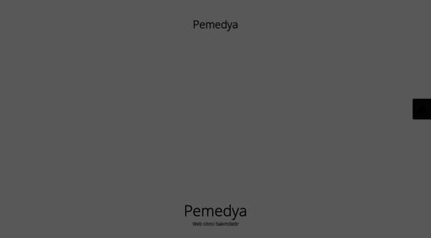 pemedya.com