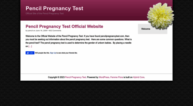 pencilpregnancytest.com