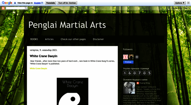 penglaimartialarts.blogspot.com