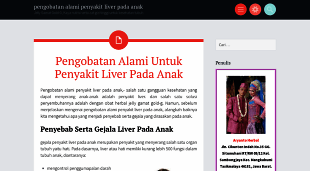 pengobatanalamipenyakitliverpadaanak.wordpress.com