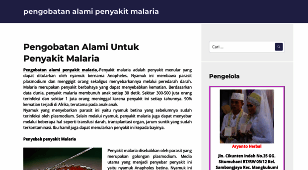 pengobatanalamipenyakitmalaria.wordpress.com