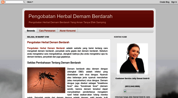 pengobatandemamberdarah99.blogspot.com