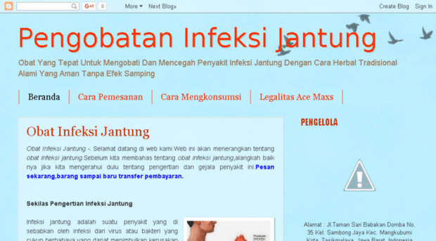 pengobataninfeksijantungampuh.blogspot.com