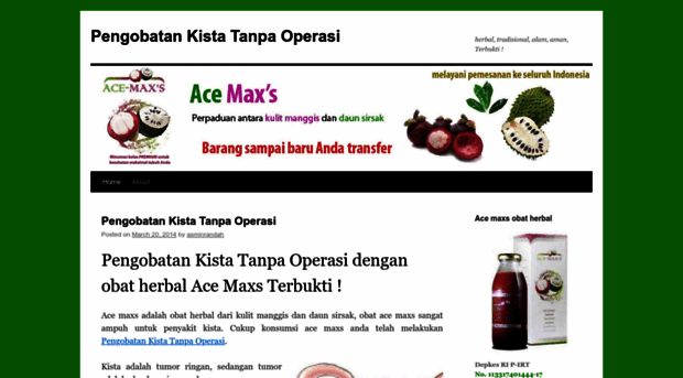 pengobatankistatanpaoperasimedis.wordpress.com