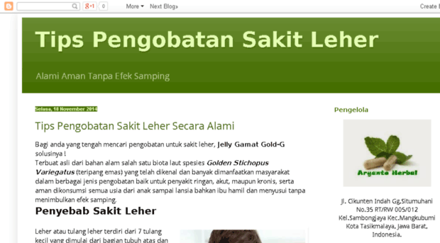 pengobatansakitleher.blogspot.com