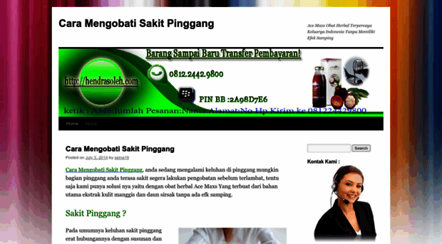 pengobatansakitpinggang19.wordpress.com