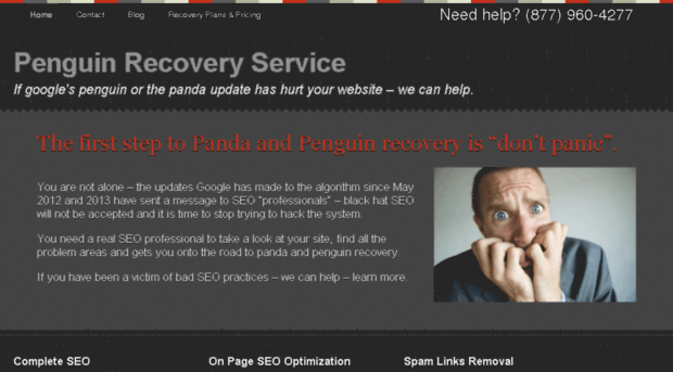 penguinrecoveryservice.com