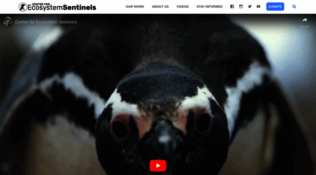 penguinstudies.org