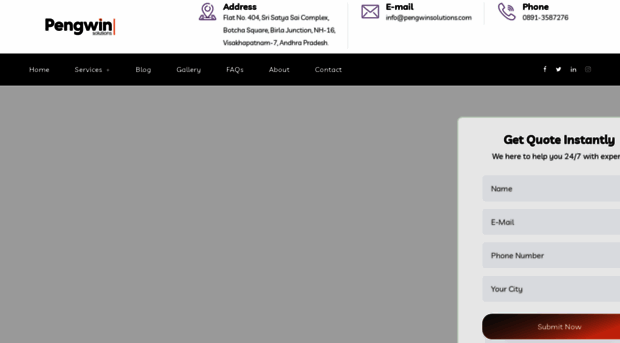 pengwinsolutions.com